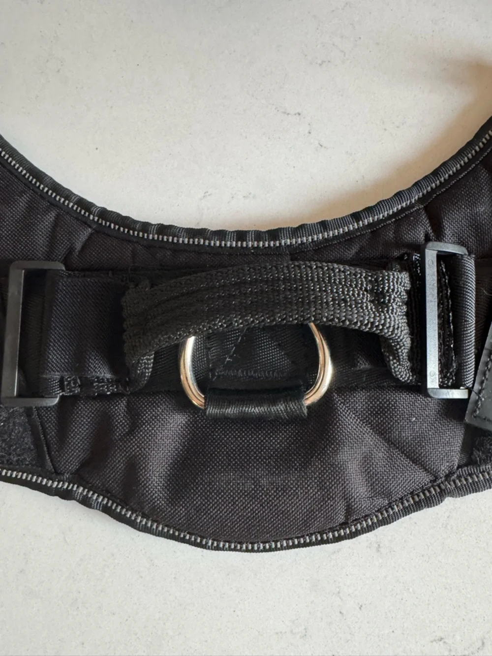Black Dog Harness